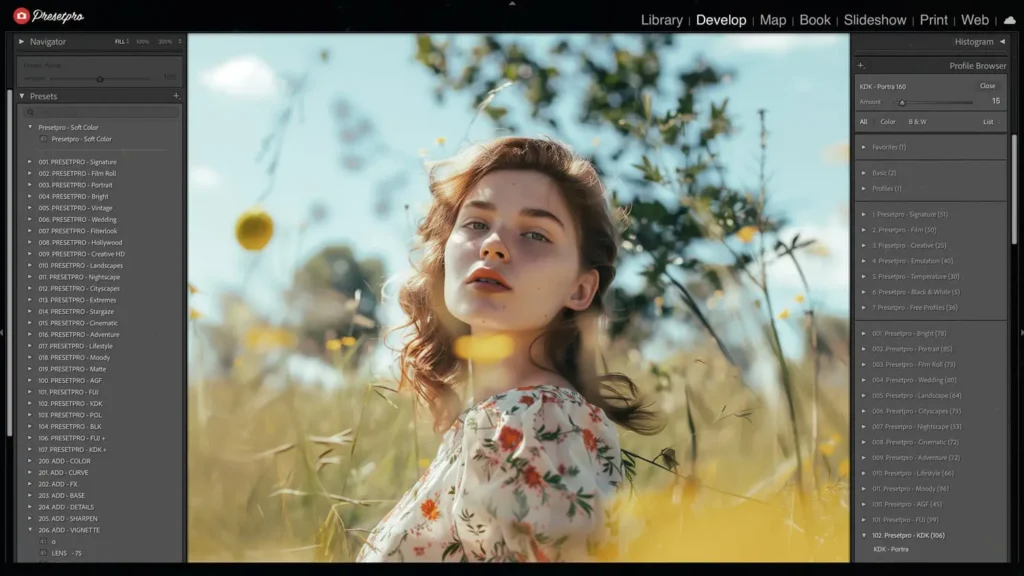 Extensive selection of presets